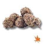 Frosted Cherry Cookies 1-2 Oz Shake