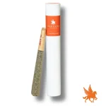 Preroll 1G Dark Queen