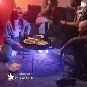 vibe with pegasus